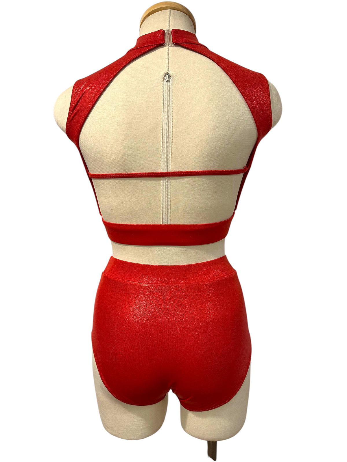 Rhiannon Hologram Dance Costume Base in Red and Nude, Open Back View