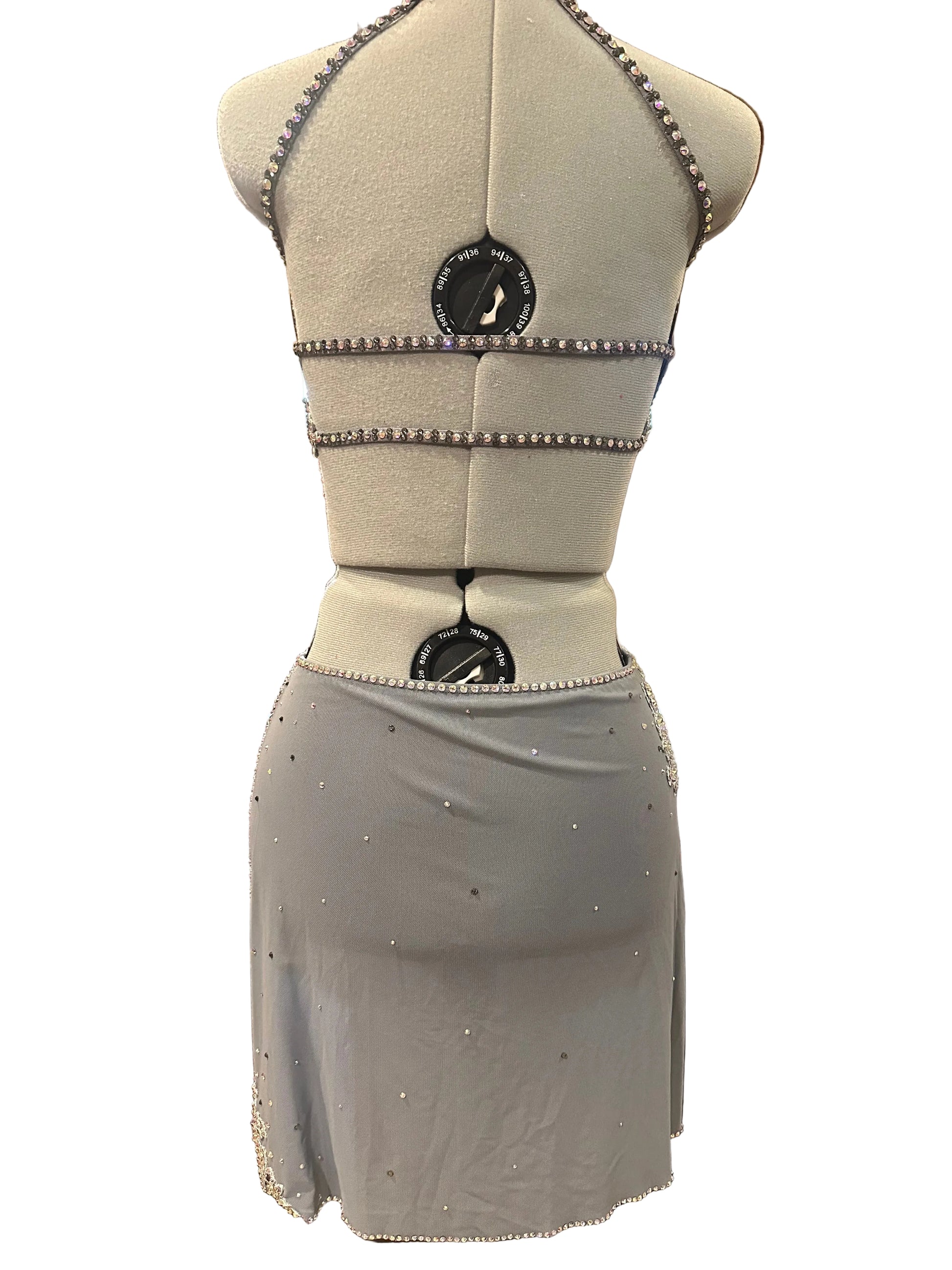 Grey Lyrical embellished costume